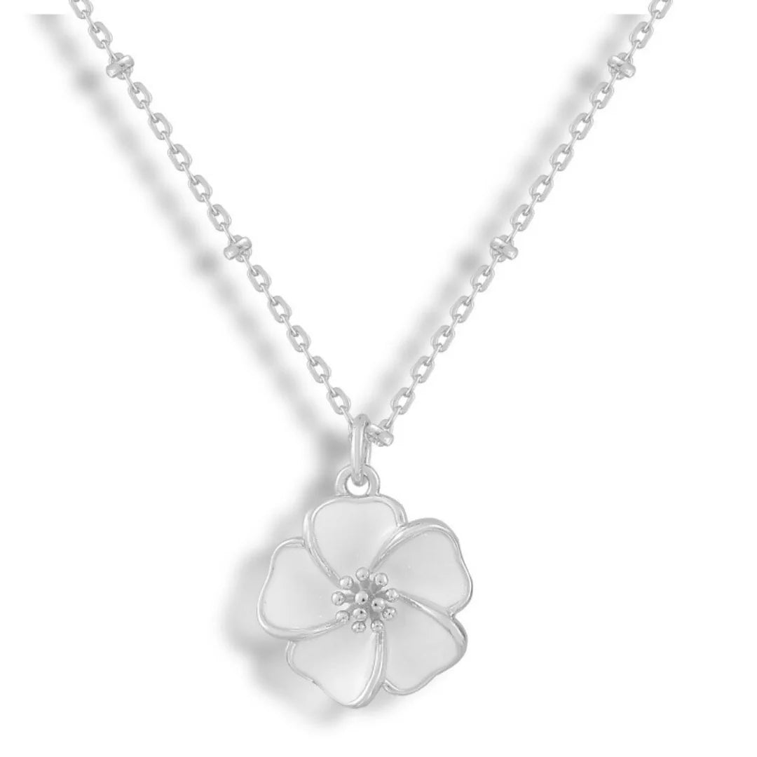 Honolulu Necklace My Store