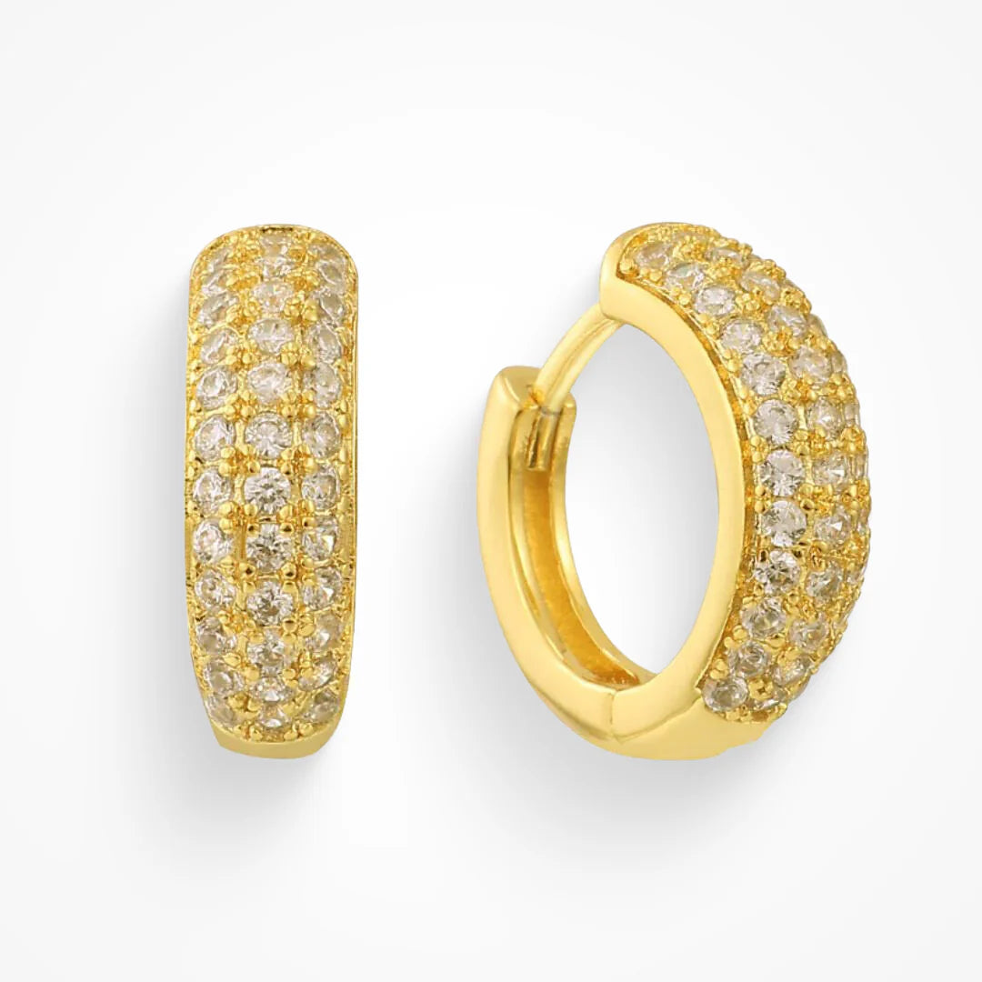Dollar Bill Earrings EVRY JEWELS