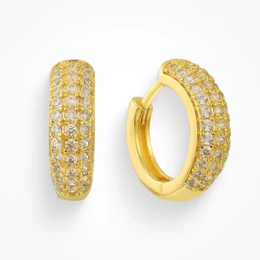 Dollar Bill Earrings EVRY JEWELS