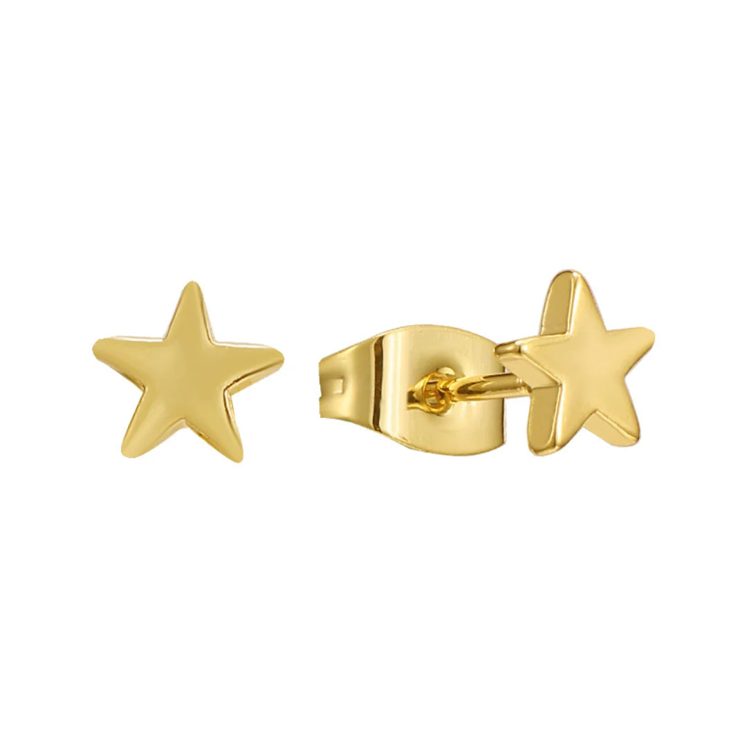 Reach for the Stars Earrings EVRY JEWELS